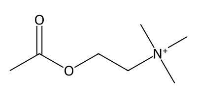 Acetylcholine molecular structure